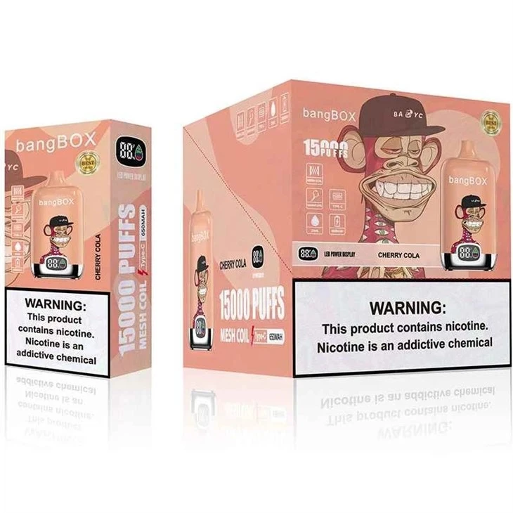 bang box 15000 puff